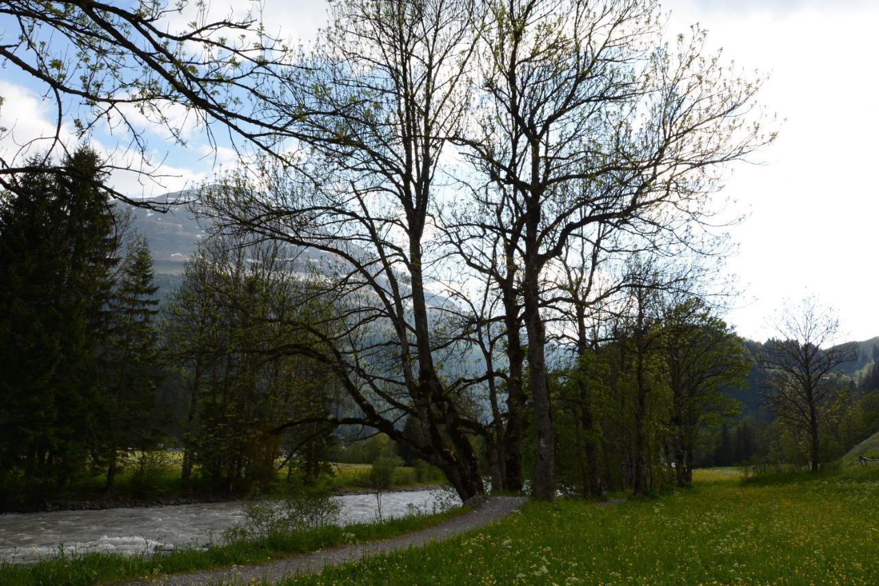 Pension Alpenblick Steeg Exterior photo